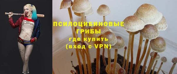 PSILOCYBIN Абдулино