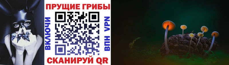 Галлюциногенные грибы мухоморы Сургут
